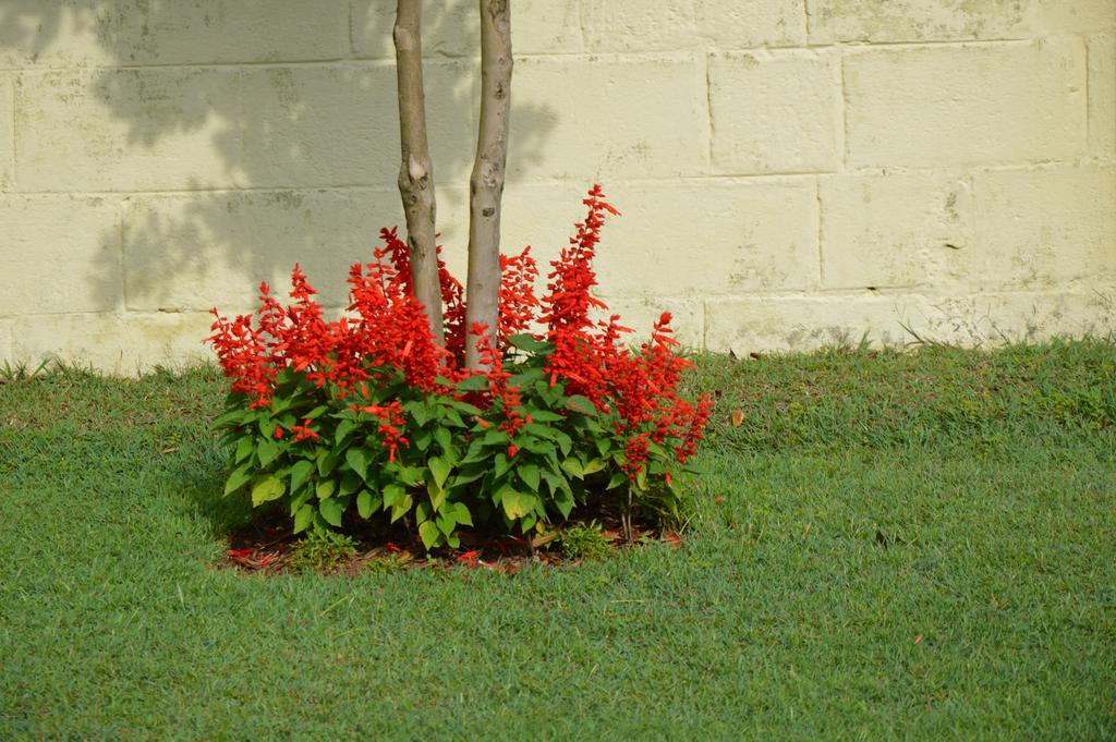 Serenity Manor Coonoor Kültér fotó